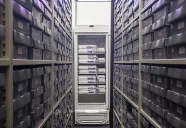 Nas duas extremidades da foto, pastas guardadas no Arquivo da Bienal, e ao centro, uma geladeira com filmes congelados